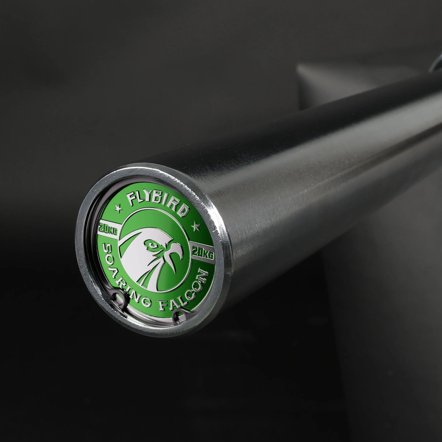 flybird Soaring Falcon Barbell, home gym equipment, flybird weight training Barbells